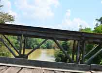 Ella - Wooden Bridge